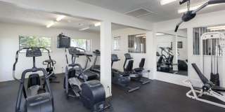 Elk Ridge Gallery 12