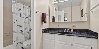 1225 MARTHA CUSTIS DR #709 Gallery 23