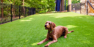 Stone Point Apartments Gallery 23