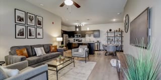 Springs at Three Oaks Gallery 17