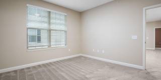 5167 Monterey Pine Lane Gallery 21