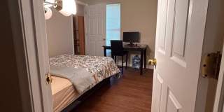 8 TROUT LILY Court Gallery 1