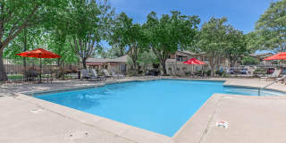 Avery at TownCentre Gallery 12