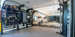 Tailor O4W Gallery 43