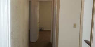 8124 Pinefield Dr Gallery 11