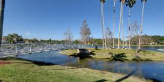11073 Harbour Springs Circle Gallery 67