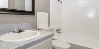 Sierra Nevada Gallery 9