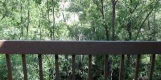 2BR/2BA, vaulted ceilings, pool, parking, W/D included, more! (SC308) Gallery 1