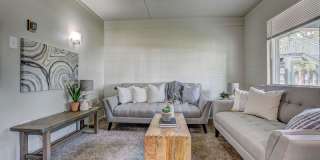 Bears Village Gallery 6