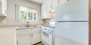 Woodlawn Gardens Apartments Gallery 18