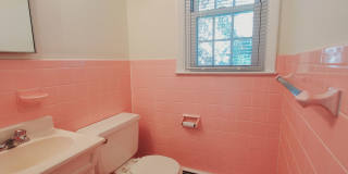 11 Elmwood Street Gallery 3