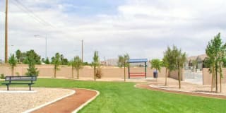 Diamond Vista Gallery 4