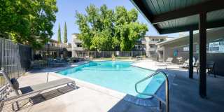 The Harlow Gallery 14