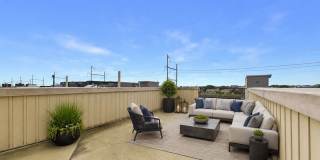AUGUST 10 Beautiful 4 bed 3 bath home with tons of light and lots of outdoor space!! Gallery 32