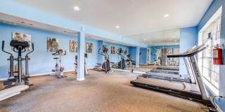 Ashford Westchase Gallery 46