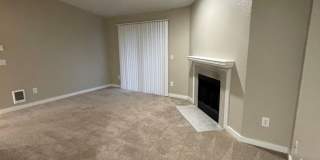 The Signature Gallery 13