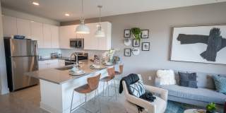 Anthem on Ashley Gallery 4