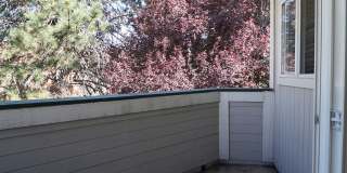 2659 Sycamore Glen Unit 3 Sparks, NV 89434 Gallery 4