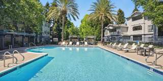 Monterey Grove Apartments Monterey Grove Apartments Gallery 13