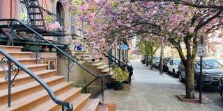 1 GREENE ST Gallery 25