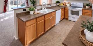 3 Bedroom Home in Painted Sky! Gallery 4