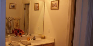 3316 Lacebark Pine Street Gallery 12