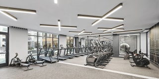 Ivy & Green Gallery 12