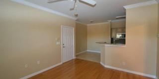 Apartment for rent Gallery 4