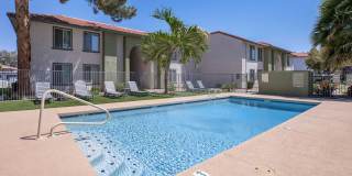 Sahara and Playa Palms Apartments Gallery 16