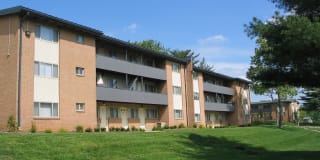 Windsor Forest Windsor Forest Gallery 8