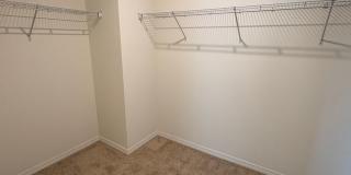 4 Bed 2.5 Bath Mt Dora Home - Solar Energy! Gallery 16