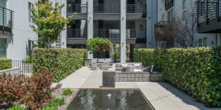 Domain Oakland Gallery 31