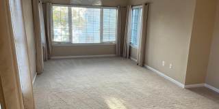 209 MISTY POND Terrace Gallery 20