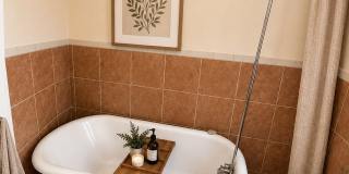 Spacious 6-Bedroom Rental in North Philadelphia | Small Dogs Welcome Gallery 32