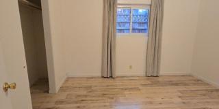Spacious 4 Bedroom, 2 Bathroom Jacksonville Home Spacious 4 Bedroom, 2 Bathroom Jacksonville Home Gallery 12