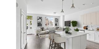 The Walcott Hackensack Gallery 17