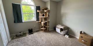 111 Knob Creek Lane Gallery 28