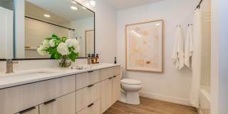 The Clara Gallery 25