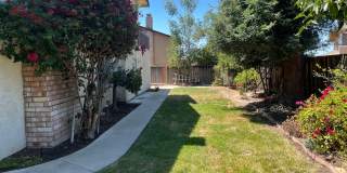 Beautiful East Foothills San Jose Home with Spacious Layout, Large Lot & Prime Location! Beautiful East Foothills San Jose Home with Spacious Layout, Large Lot & Prime Location! Gallery 31