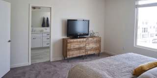 Novella at Biltmore Homes for Rent Gallery 2