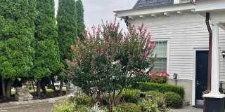 892 Elberon Avenue unit: Studio Gallery 1