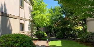 Hilltop Apartments Gallery 35