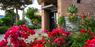 Paragon at Old Town Gallery 1