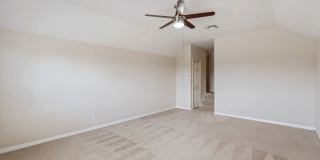 New Rental! Gallery 19