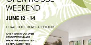Seven Springs Apartments Gallery 1