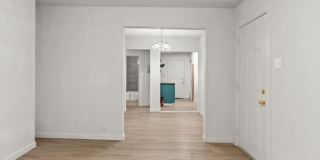 826 Poinsettia Gallery 3