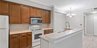 11561 Villa Grand Gallery 6