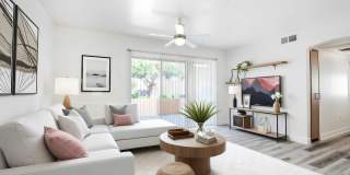 Club Cancun by Mark-Taylor Gallery 1