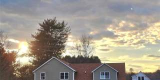 118 Plains Road Gallery 1