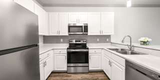 Olympus Carrington Gallery 2